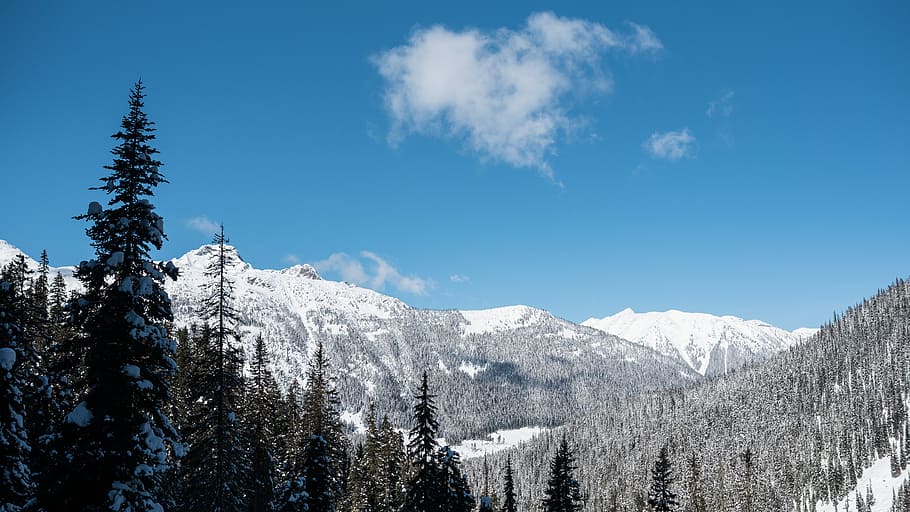snow mountain under cloudy sky during daytime, trees in glacier mountains during daytime HD wallpaper