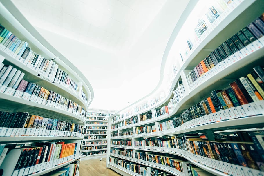 low-angle photo of white bookshelves with assorted book lot inside room, assorted-title book collection in white bookshelf HD wallpaper
