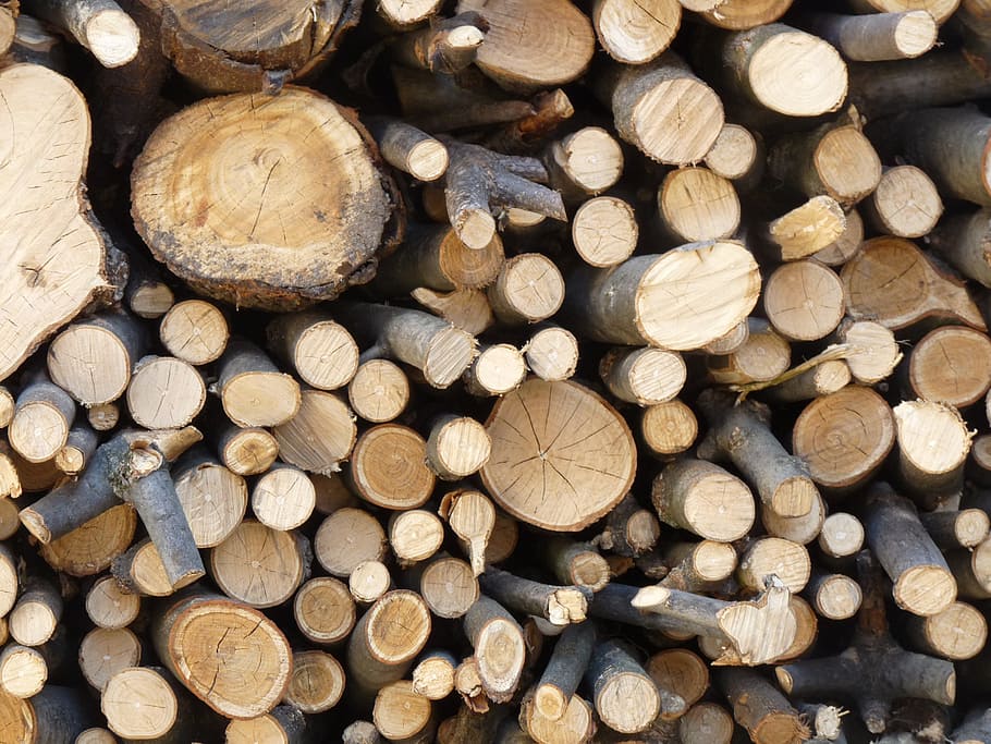 brown firewood pile, stack, work, stock, timber, log, large group of objects HD wallpaper