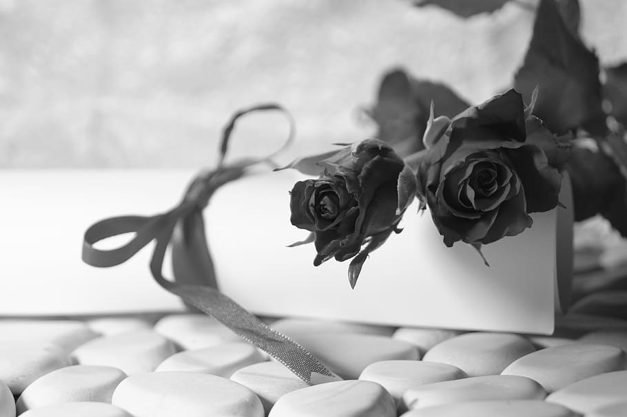 love, map, greeting, romance, plant, flower, flowering plant HD wallpaper
