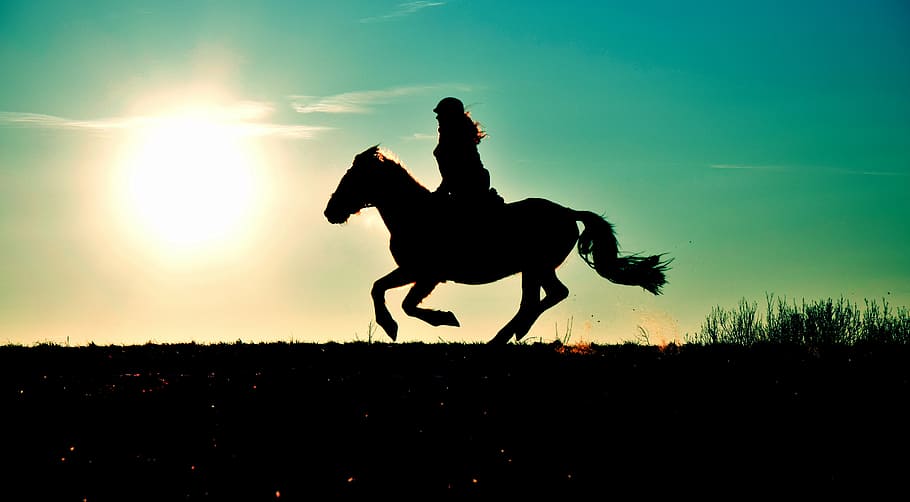 silhouette of woman riding horse, gallop, reiter, sunset, meadow