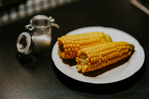 Corncobs, yellow, cooking, cereal, maize, food, vegetable, freshness HD wallpaper