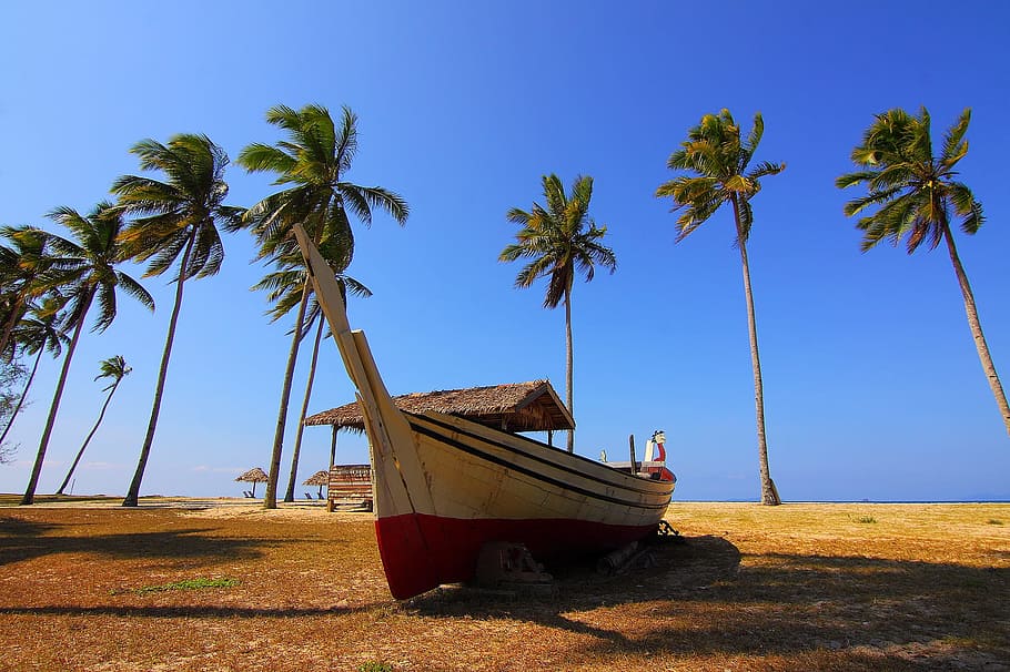 Palm Trees Blue Sky Boat, travel, beach, sea, travel Locations, HD wallpaper