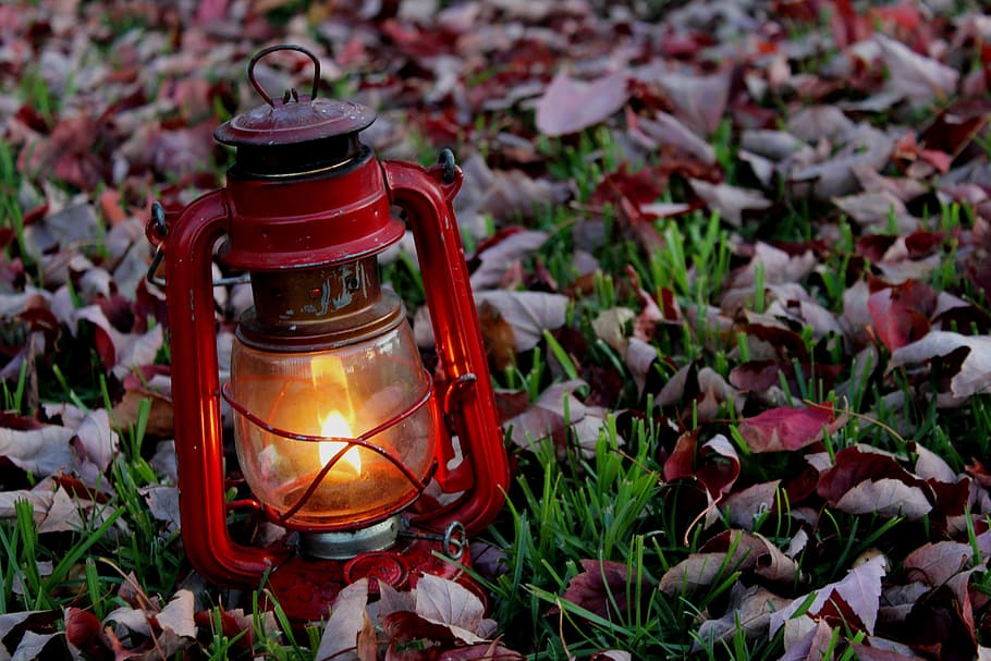 lantern, oil, red, burn, burning, flame, leaves, autumn, lighting equipment HD wallpaper