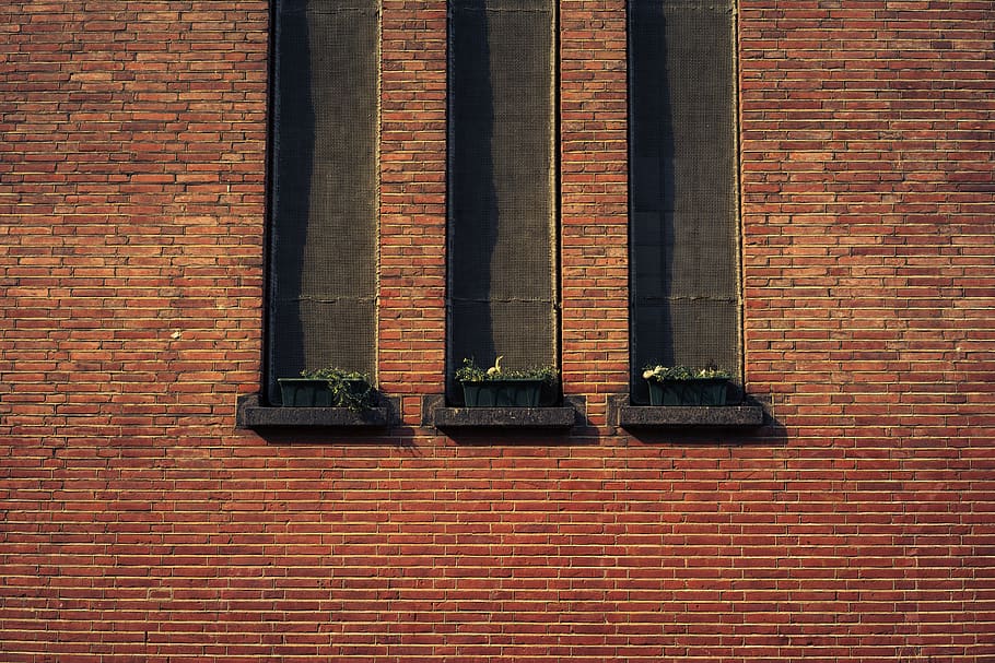 bricks, wall, brickwork, window, structure, brick wall, built structure HD wallpaper