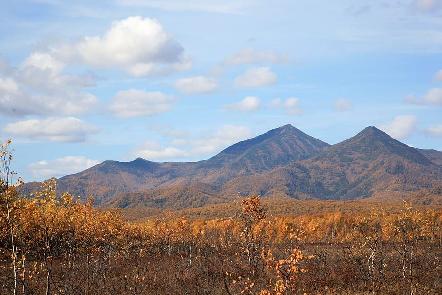 autumn, mountains, clouds, forest, trees, birch, fall colors HD wallpaper