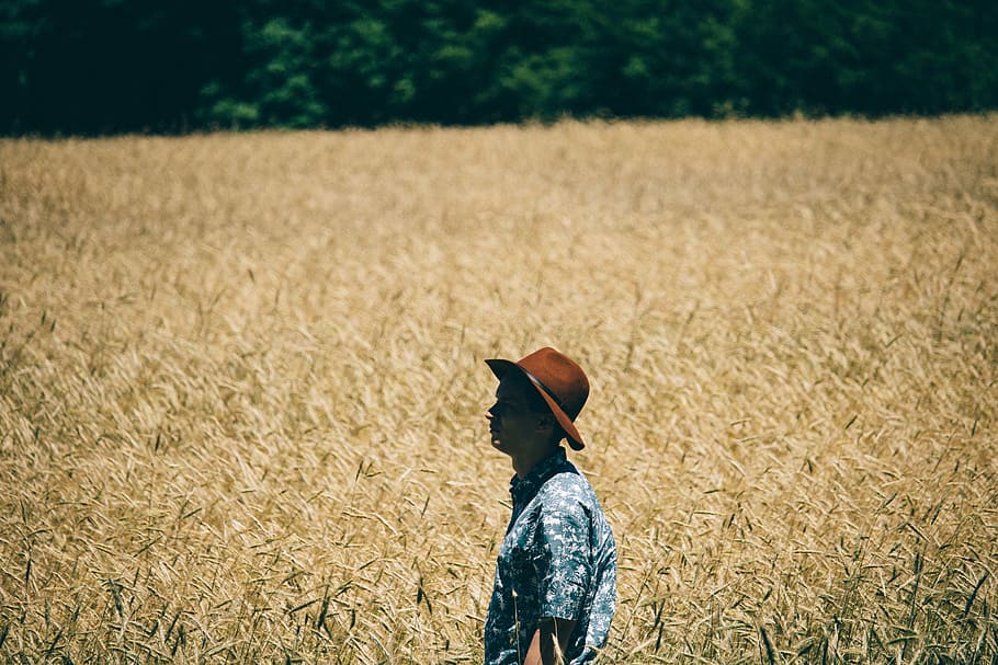 man standing near wheat field, wearing, blue, shirt, brown HD wallpaper