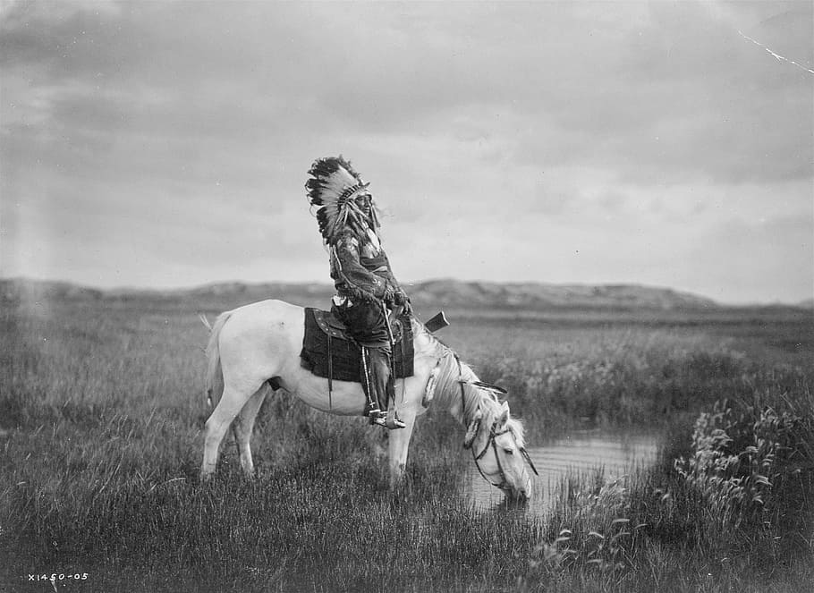 grayscale photography of Native American ride-on horse in grass field, HD wallpaper