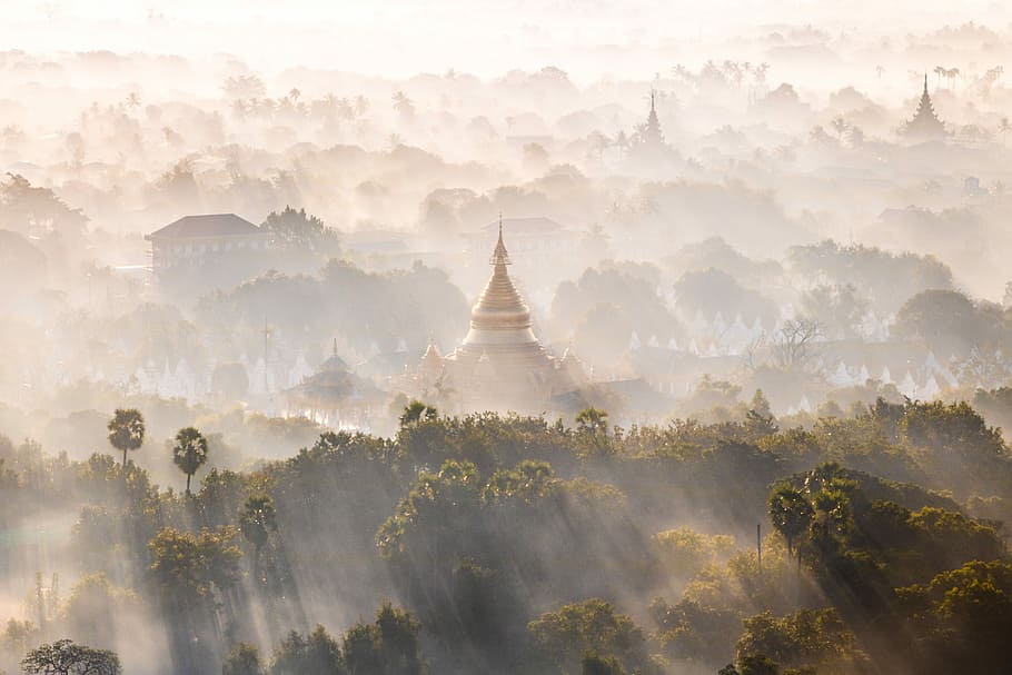 LANDSCAPE, aerial view photography of temple surrounded by trees during daytime HD wallpaper