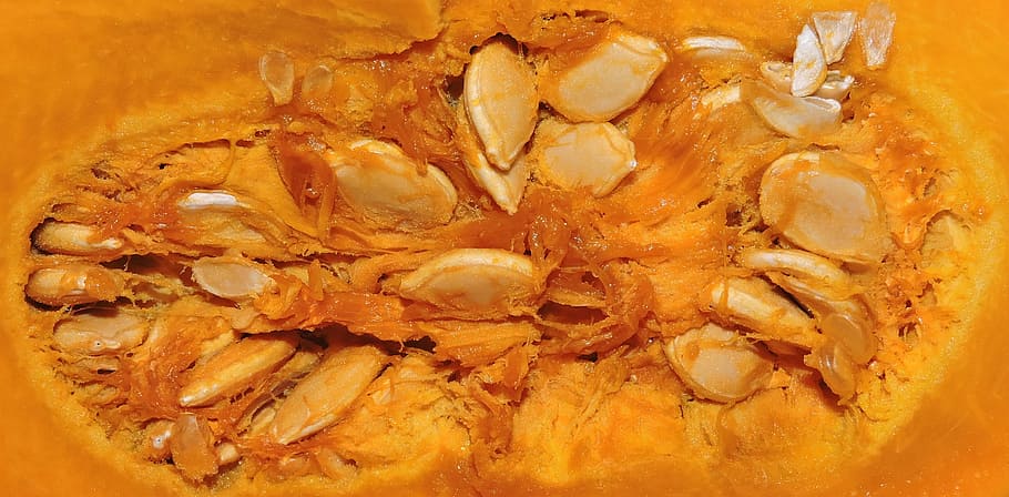 seed, pumpkin, inside, yellow, food, food and drink, close-up HD wallpaper
