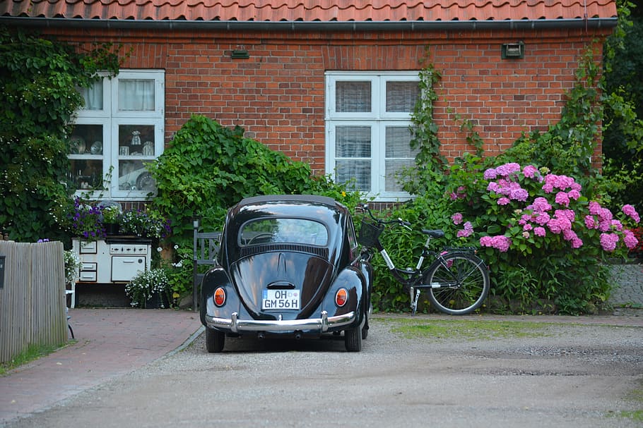 parked black Volkswagen Beetle coupe in front of brick wall house with pink flowers HD wallpaper
