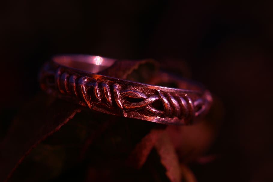 ring, silver ring, jewellery, close-up, animal themes, one animal HD wallpaper