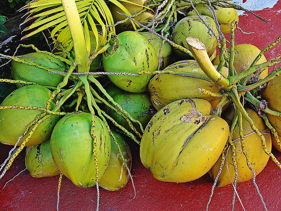 cocos, fruit, green bouquet coconuts, food and drink, healthy eating HD wallpaper