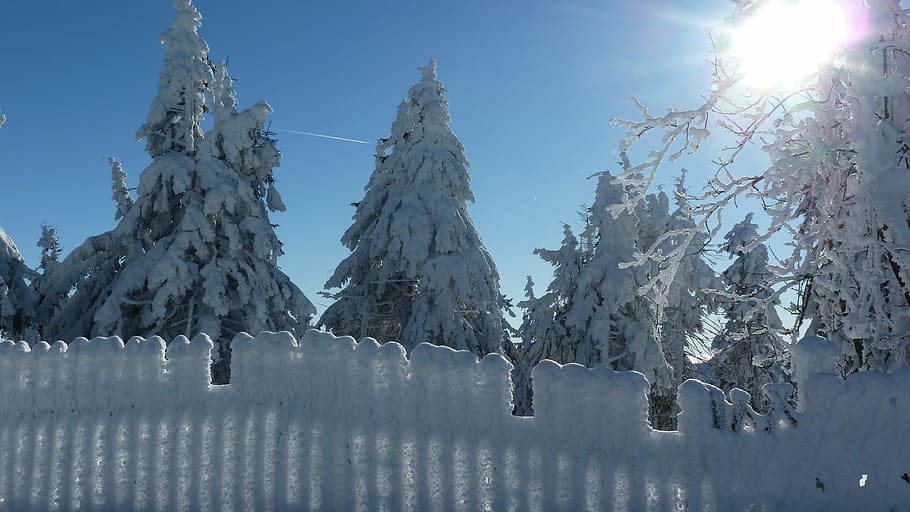 Winter, Snow, Rest, Wintry, Landscape, snowy, cold temperature HD wallpaper