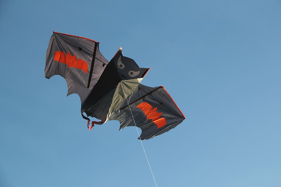 dragons, windspiel, kite, fly, play, sky, flying, low angle view HD wallpaper
