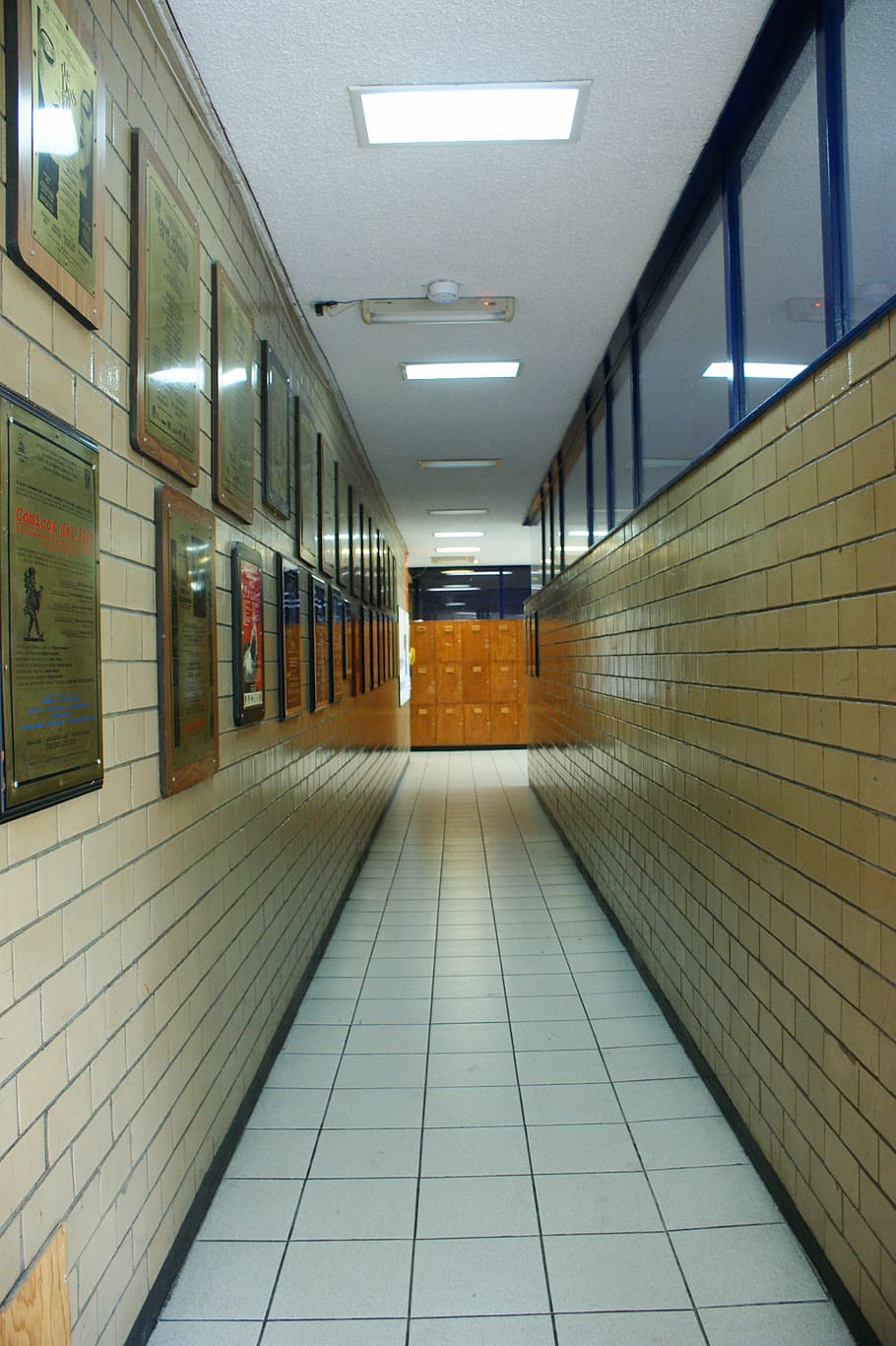 hall, school, plates, university, illuminated, architecture HD wallpaper