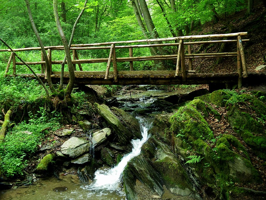 Bridge, Bach, Water, Nature, green, river, bridge - man made structure HD wallpaper