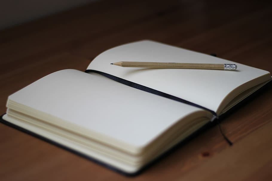 brown pencil on white book page, pencil on open blank notebook, HD wallpaper