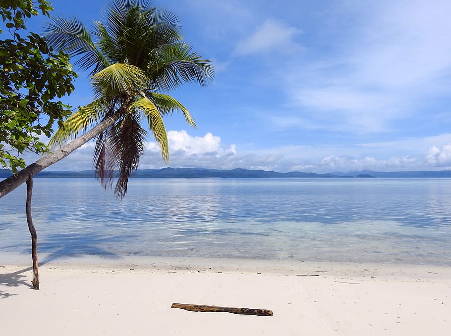 raja ampat, papua, beach, tropical, sand, seashore, water, island