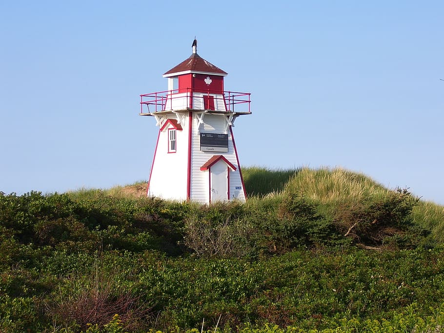 white and red lighthouse surrounded by grass, beacon, beam HD wallpaper