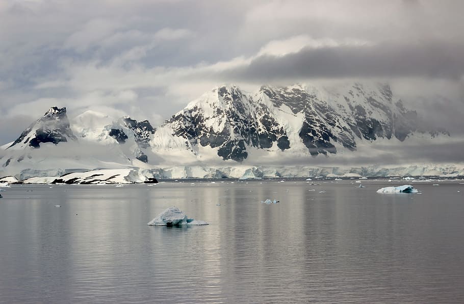 iceberg and body of water, antarctica, sea, ocean, winter, snow, HD wallpaper