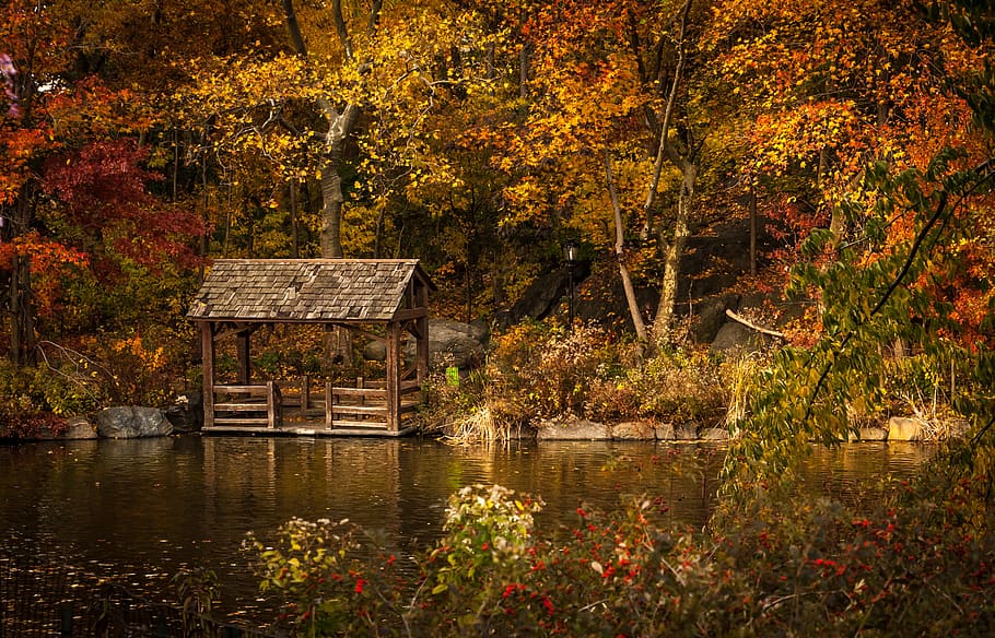 lake garden with shed, brown wooden tent near body of water and trees, HD wallpaper