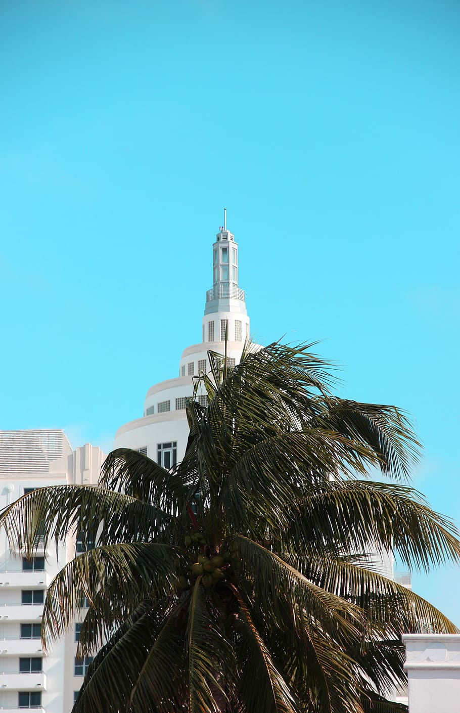 My last vacation, coconut tree in front of white concrete building HD wallpaper