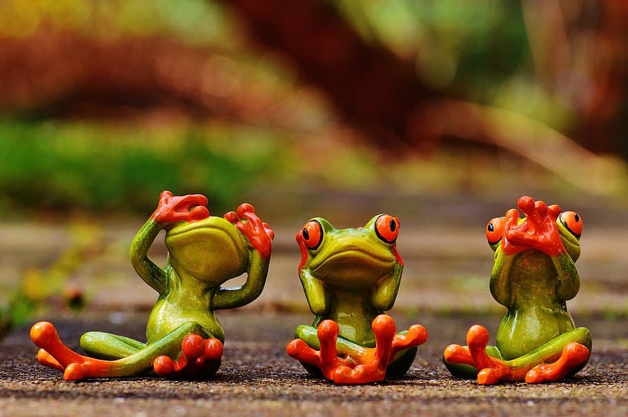 three green frogs, not see, not hear, do not speak, funny, cute, HD wallpaper