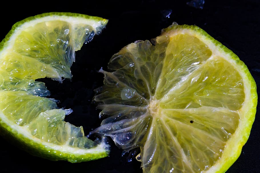 fruits, lemon, food and drink, healthy eating, slice, freshness HD wallpaper