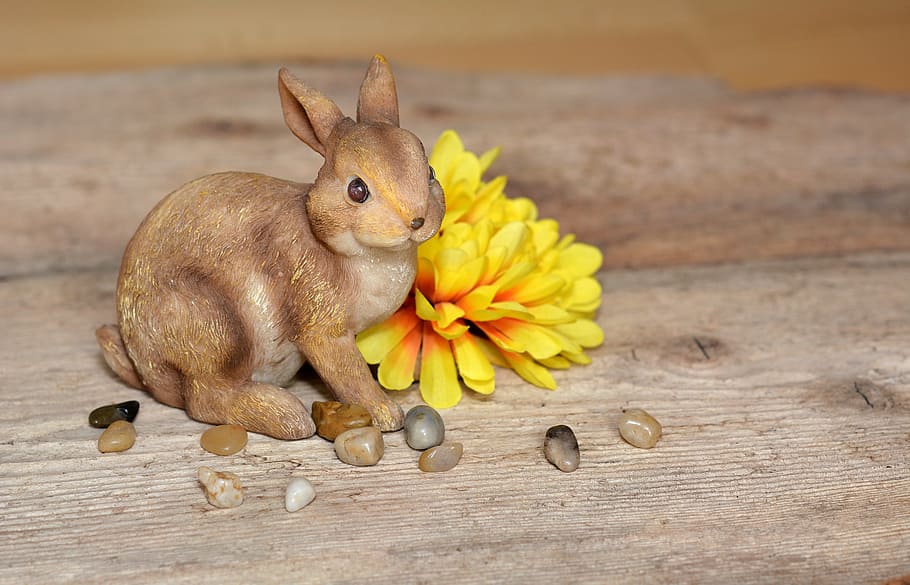 Hare, Easter Bunny, dekohase, dekoblume, flower, yellow, blossom HD wallpaper