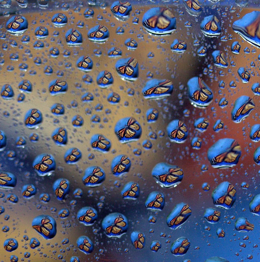 drops, reflection, water, rain, wet, full frame, backgrounds HD wallpaper