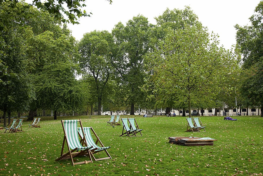 Deck, Chairs, Relaxation, Trees, park, deck chairs, green, grass HD wallpaper