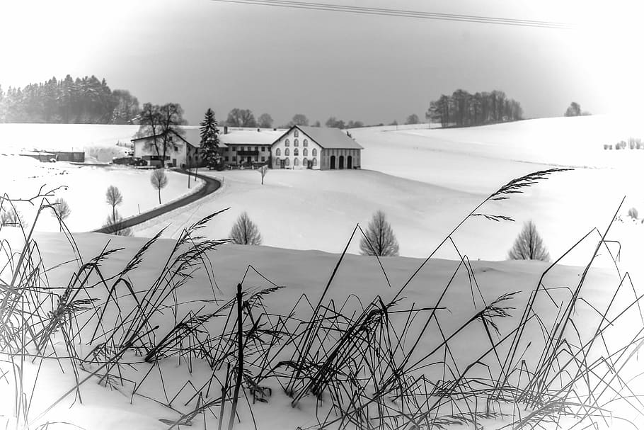 winter, wintry, snow, snowy, landscape, farm, winter way, water HD wallpaper