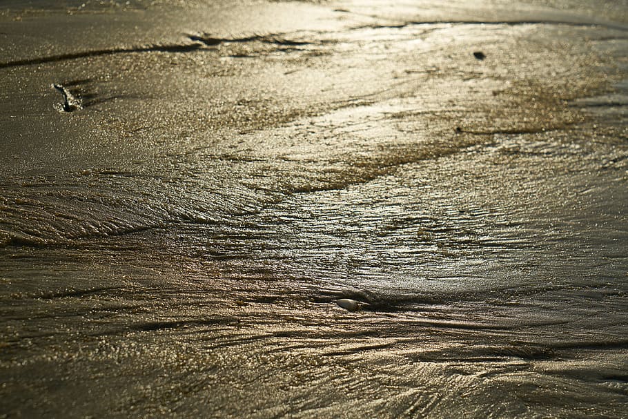 photo of body of water at daytime, beach, sand, light, reflection HD wallpaper