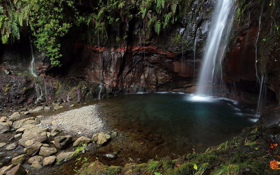 Waterfall, Greenery, Forest, Rocks, landscape, nature, motion HD wallpaper