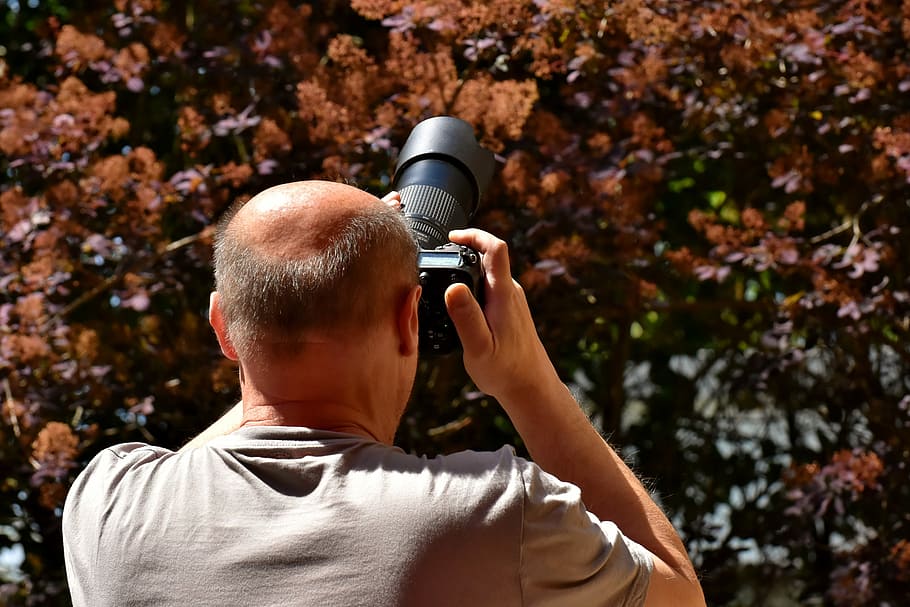 man taking photo of trees, photographer, camera, person, human