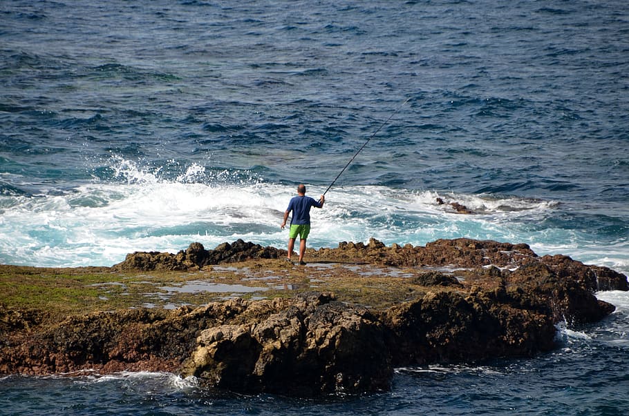 Atlantic, Angler, Sea, Fish, Holiday, coast, rock, wave, landscape HD wallpaper