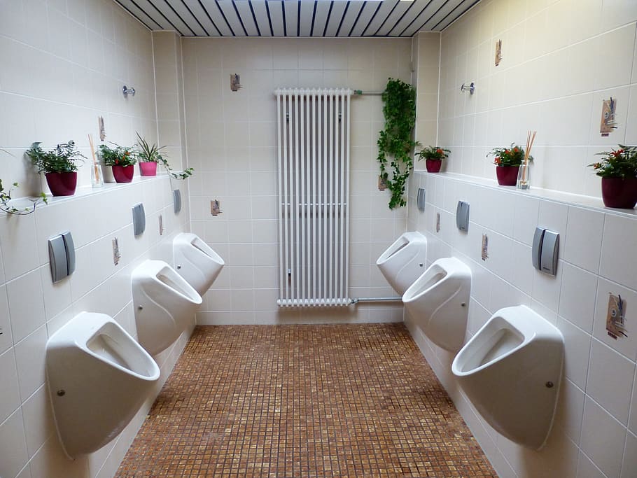 white ceramic urinal sinks, Toilet, Wc, Public, public toilet, HD wallpaper