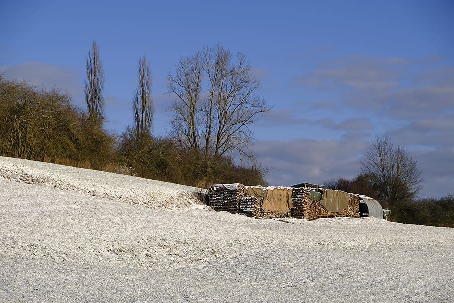 winter, snow, cold, wood, holzstapel, log, firewood, heat, nature HD wallpaper