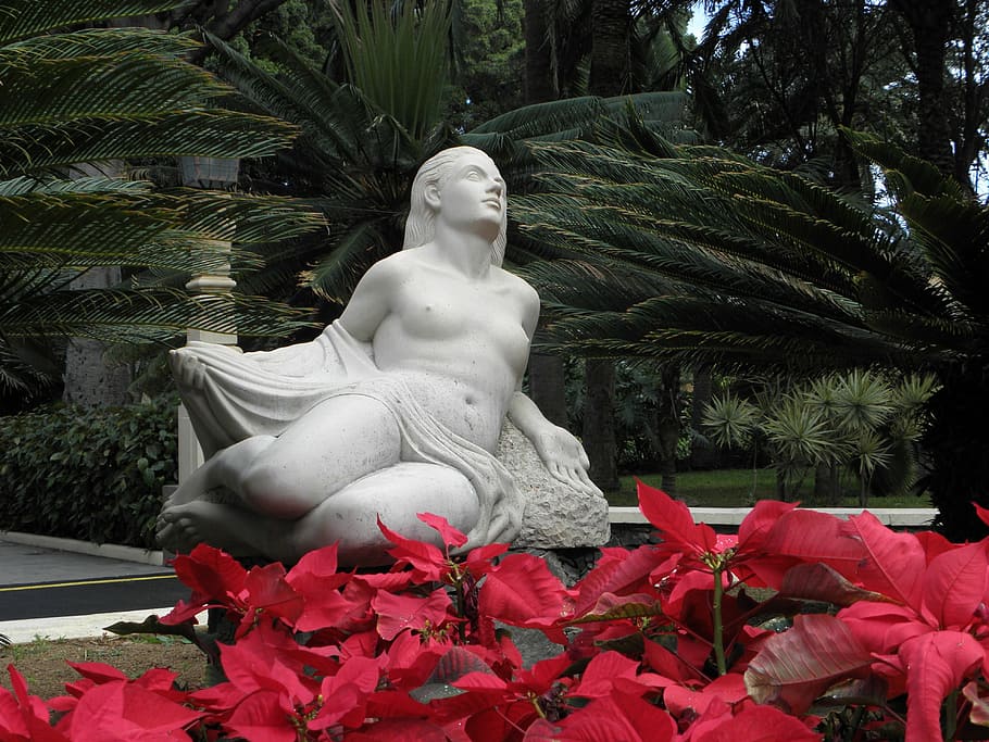 statue, red, dedication, plant, human representation, sculpture HD wallpaper