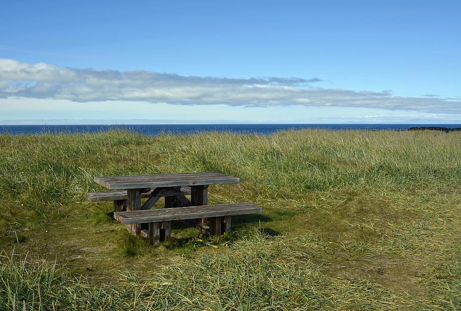 picnic bench surrounded by grassy field, table, bank, picnic table