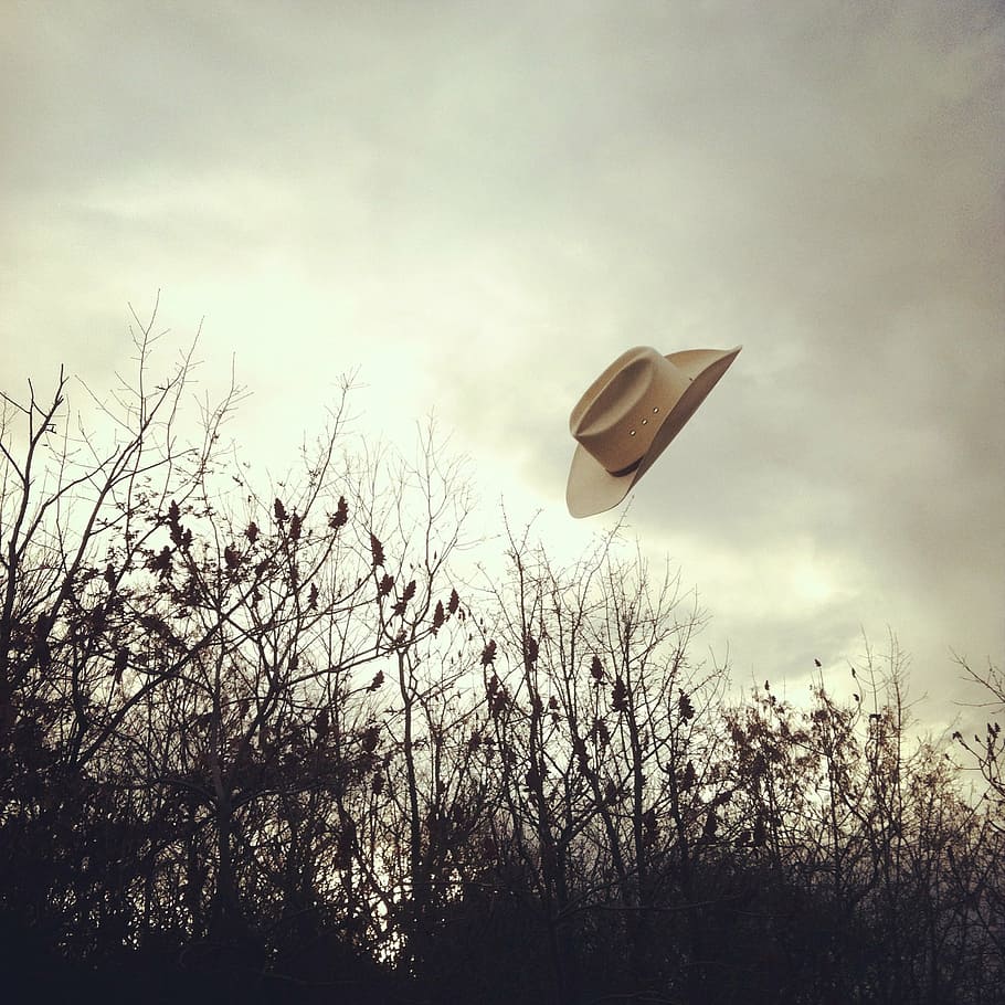 flying hat, nature, sky, outdoors, tree, plant, cloud - sky HD wallpaper