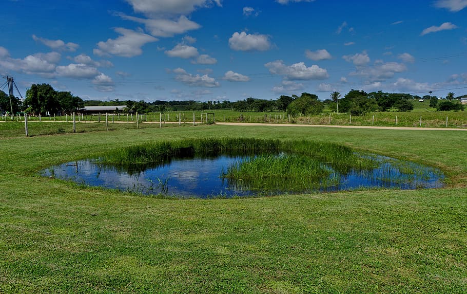 pond, landscape, grass, sky, water, reflection, spring, summer HD wallpaper