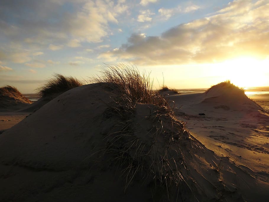 Beach, Amrum, North Sea, Sea, Island, sand, dunes, sunset, sand dune, HD wallpaper