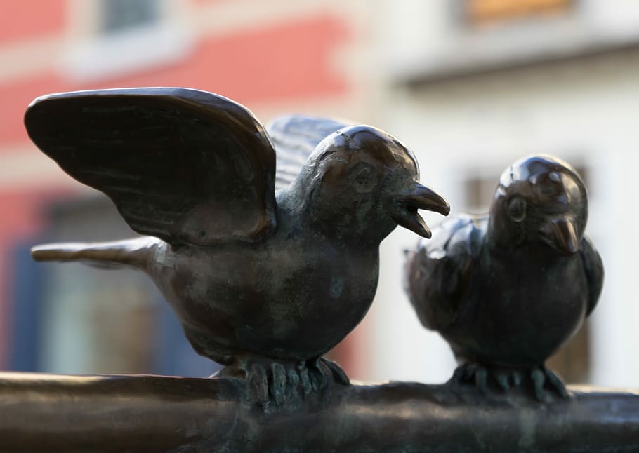 Bird, Statue, Aachen, Characters, birds, marketplace, north rhine westphalia, HD wallpaper