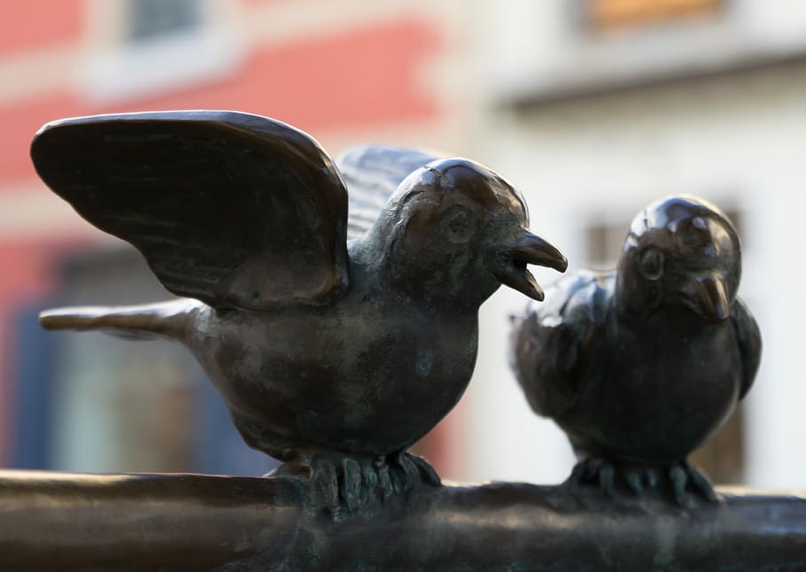Bird, Statue, Aachen, Characters, birds, marketplace, north rhine westphalia HD wallpaper