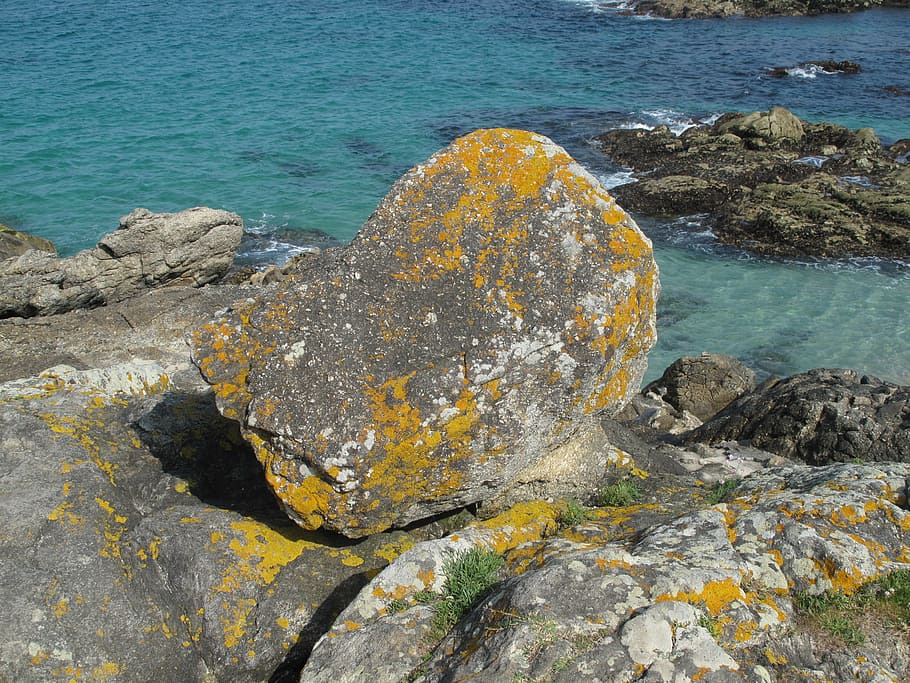 sea, rocks, lichen, rock - Object, nature, coastline, beach HD wallpaper
