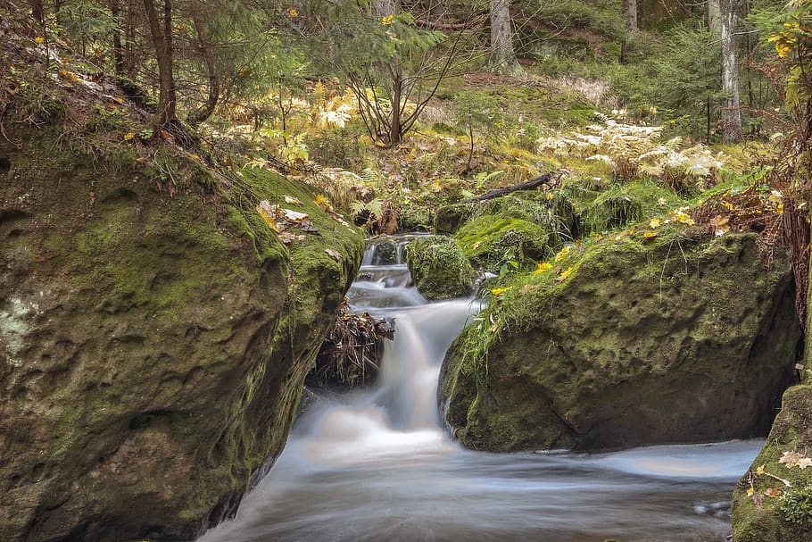 water, waterfall, nature, tree, plant, forest, long exposure HD wallpaper