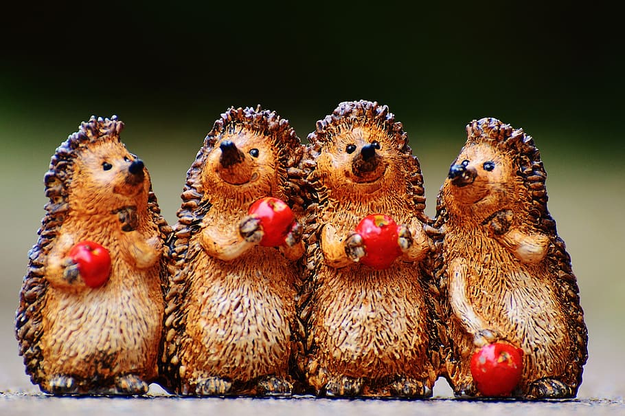 hedgehog, figures, funny, cute, sweet, pair, apple, decoration, HD wallpaper