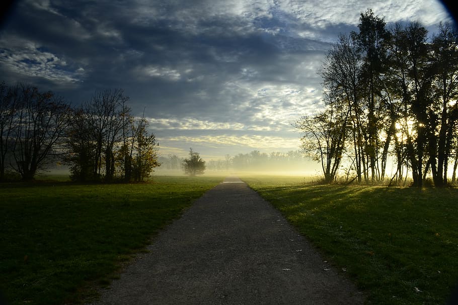 photo of pathway between trees during daytime, park, monza HD wallpaper